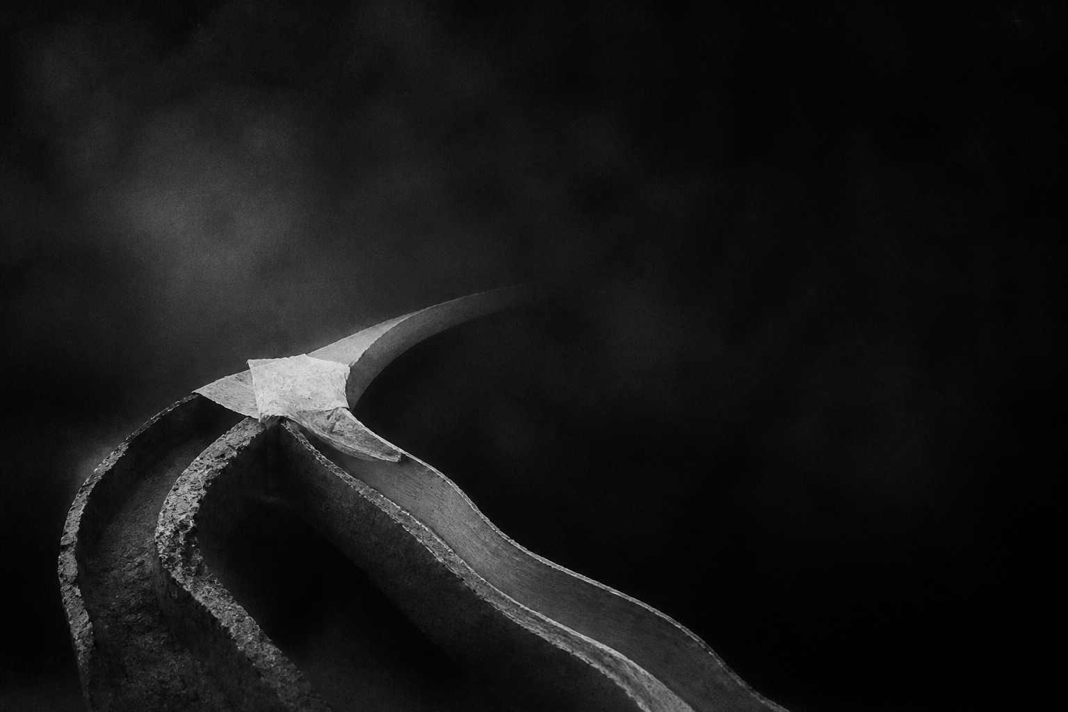 Abstract monochrome illustration for Fresh credentials redraw the payment route map