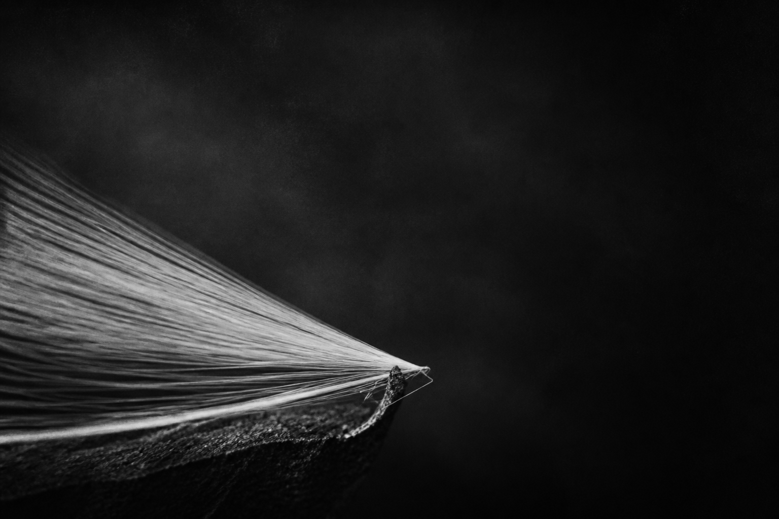 Abstract monochrome illustration for The fastest payment API can still lose the benchmark
