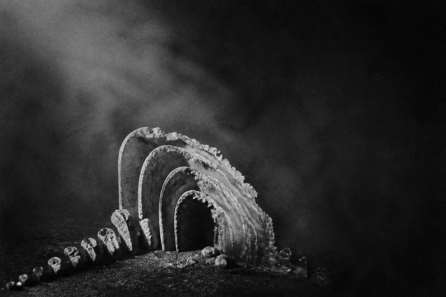 Abstract monochrome illustration for When a ledger can rebuild its own past